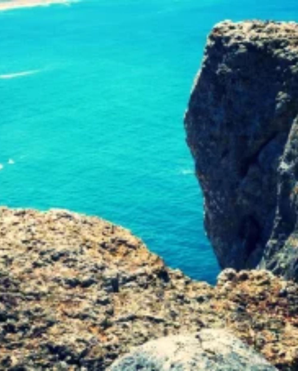 WhatsApp Image 2026-02-14 at 12.58.10 PM